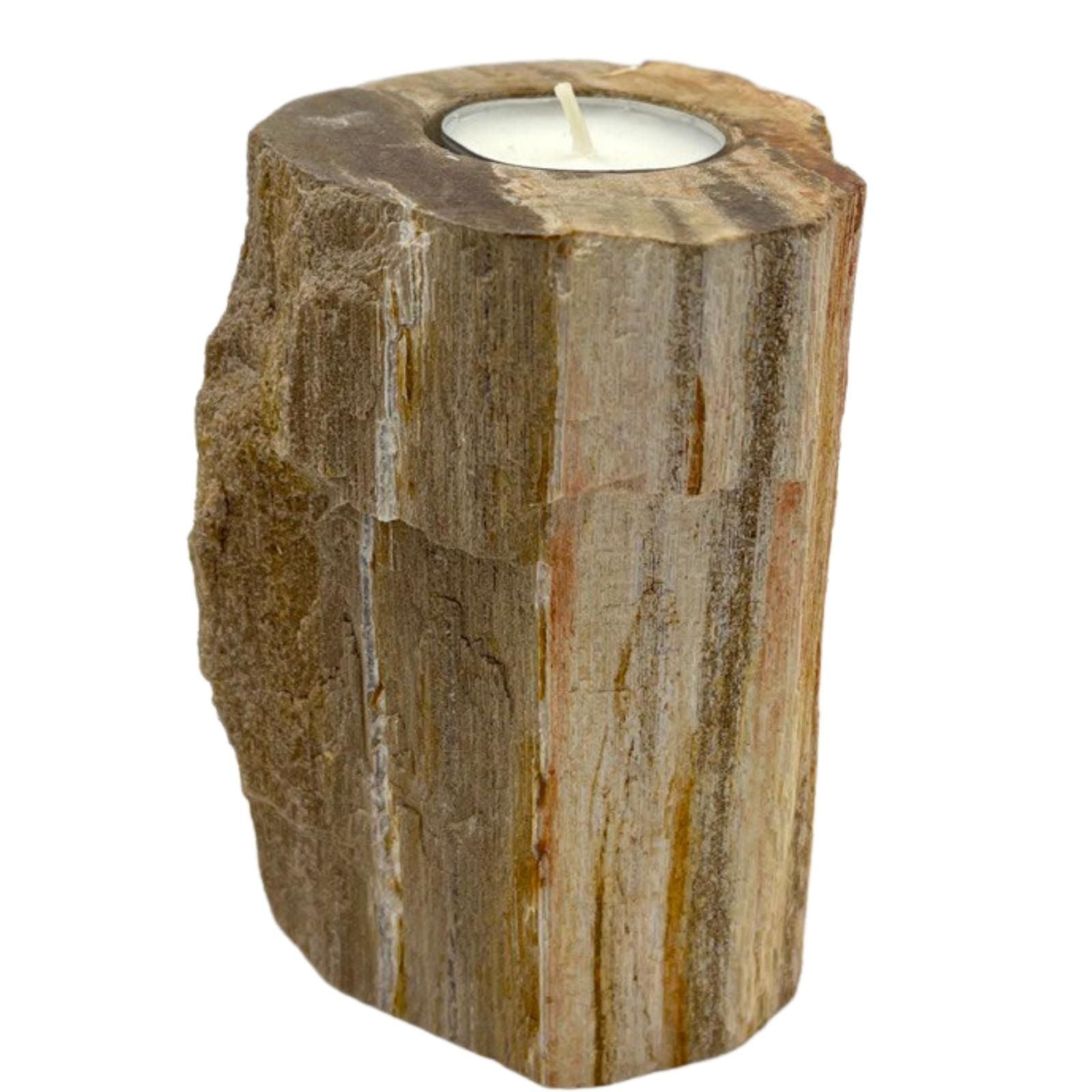 Tall Petrified Wood Candle Holder