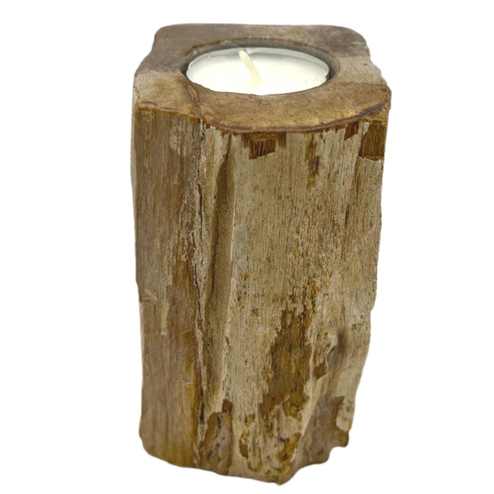 Tall Petrified Wood Candle Holder
