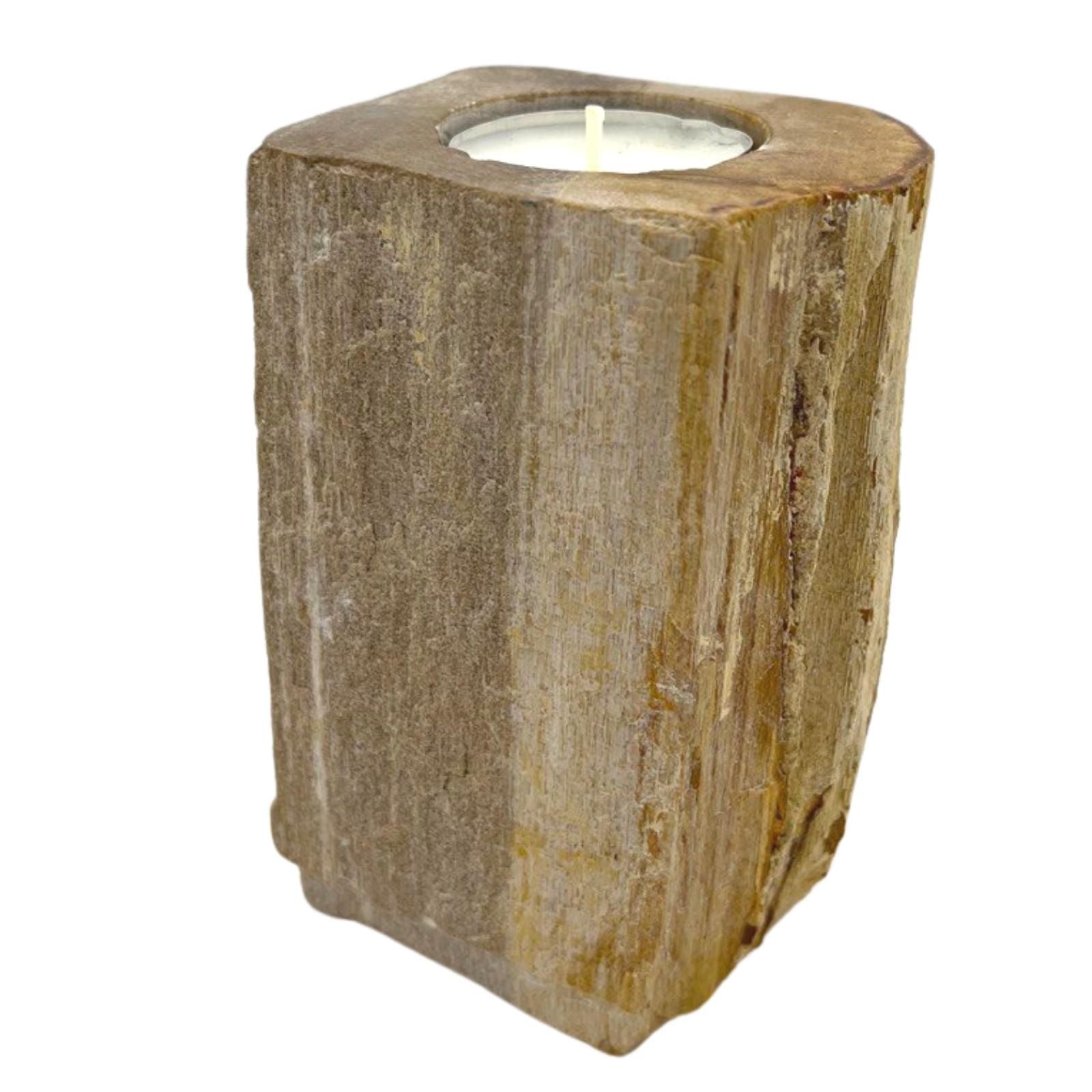 Tall Petrified Wood Candle Holder