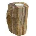 Tall Petrified Wood Candle Holder
